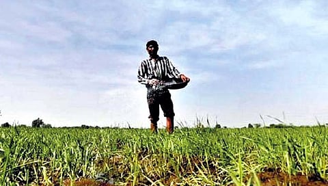 प्रोत्साहनपर लाभ योजनेपासून 40 टक्के शेतकरी वंचित