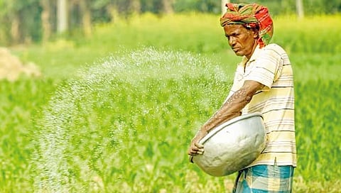 संग्रहित फोटो