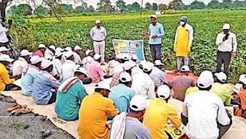 राज्यात होणार १७ हजार शेतीशाळा