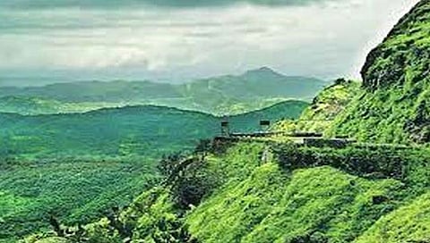 दुर्मीळ प्रजाती दिनविशेष : सह्याद्रीतील अनेक दुर्मीळ वनौषधी नामशेष !