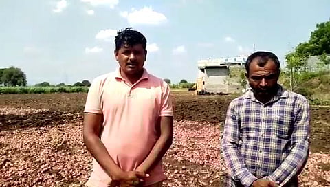 छत्रपती संभाजीनगर: सुलतानपूर शिवारात शेतकऱ्याने फिरवला कांद्यावर जेसीबी