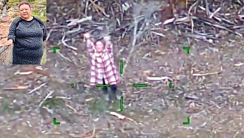 5 दिवस जंगलात अडकली अन् वाईन पिऊन तगली!