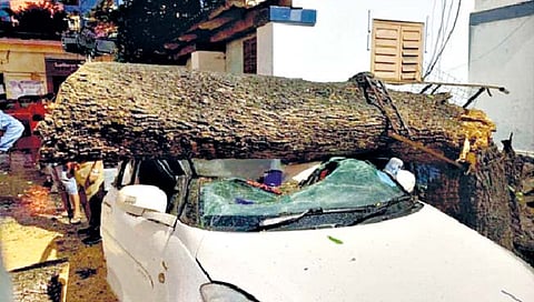 पश्चिम बंगालमध्ये ‘मोखा’ चक्रीवादळामुळे 9 ठार