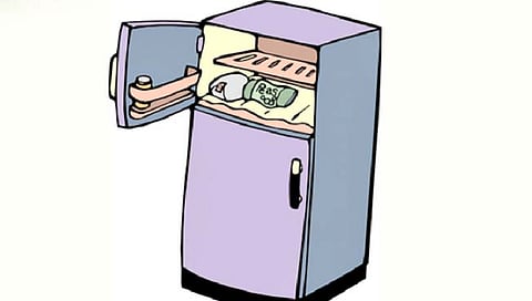 फ्रीजमध्ये वरच्या बाजूलाच का असतो फ्रीजर?