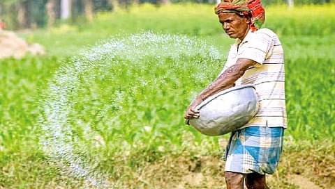 रासायनिक खते, कीटकनाशकांचा बेसुमार वापर!