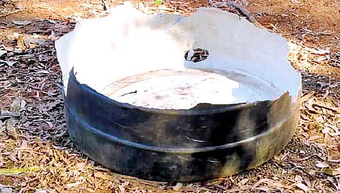 हत्तीचा वन विभागाच्या कार्यालयातच धुडगूस