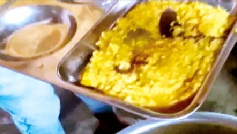 माध्यान्ह भोजनात शिजला साप!