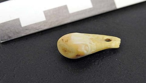 तब्बल 25 हजार वर्षांपूर्वीच्या महिलेचा मिळाला डीएनए