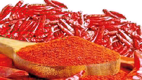 कोल्हापुरी चटणी लय भारी!