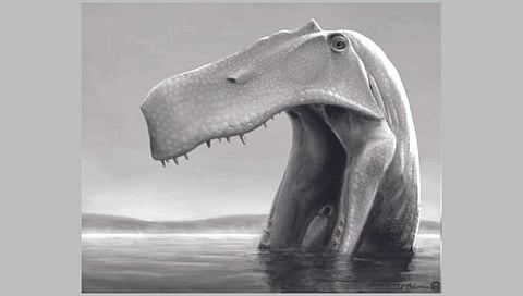 ब्राझीलमधील डायनासोर पेलिकन पक्ष्यासारखे खात होता!