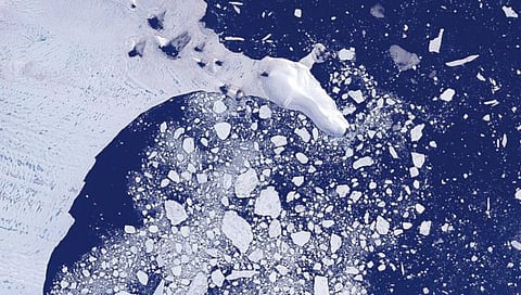 अंटार्क्टिकाजवळील महासागरांसाठी पोषक प्रवाह झाले मंद