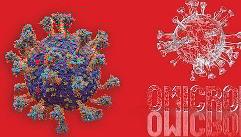 ‘ओमायक्रॉन’च्या उत्पत्तीसाठी कुरतडणारे जीव जबाबदार