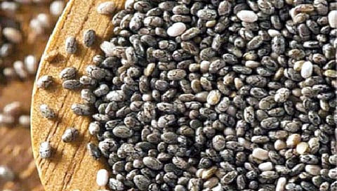 चिया बिया असतात अनेकप्रकारे आरोग्यदायी!