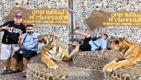 वाघाची एक डरकाळी अन् फोटोसेशनचा ‘द एन्ड’!