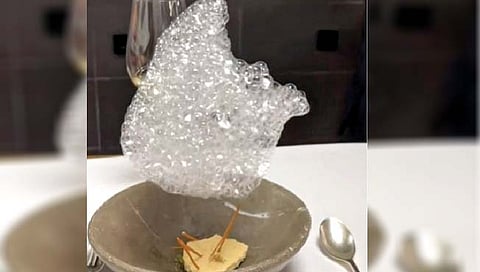 तरंगणारा फेस नव्हे; ही आहे ‘स्वीट डिश’!