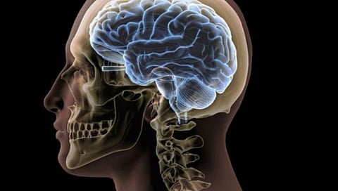 Brains of Dying People : मृत्यूपूर्वी आणि मृत्यूनंतर मानवी मेंदू कार्यरत असतो? जाणून घ्या शास्त्रज्ञ काय म्हणतात