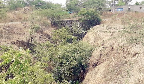 खडकवासला कालवा, वितरिकांच्या दुरुस्तीकडे दुर्लक्ष; इंदापुरातील चित्र