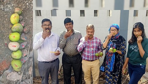 Nashik : अंनिसने उधळला अंधश्रद्धेचा डाव, रस्त्यावर मांडलेल्या उताऱ्यातील कैऱ्यांचा घेतला चवीने आस्वाद