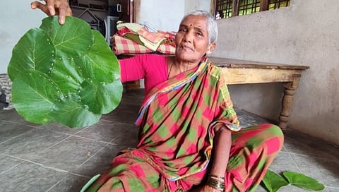 traditional patravali replaced by silver coated plates in dining