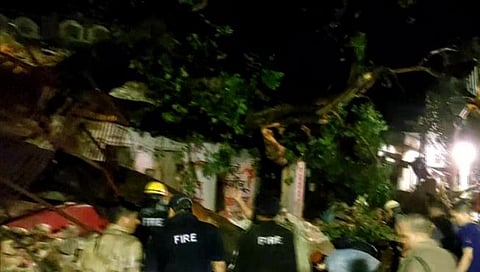 Uttarakhand : वेगवेगळ्या घटनांमध्ये झाड पडल्याने २ ठार; 3 जखमी