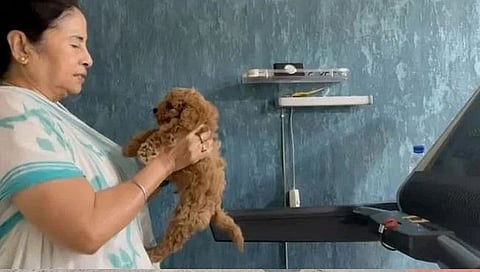 राजकारणाला क्षणभर ‘विश्रांती’! ममता बॅनर्जींचा वर्कआउट करतानाचा व्हिडिओ व्हायरल