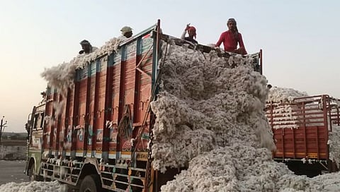 पांढऱ्या सोन्याच्या दरातील घसरण सुरूच!