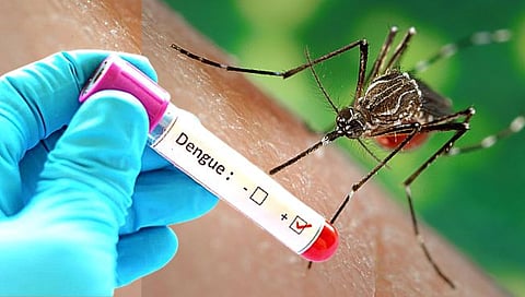 Dengue Vaccine : डेंग्यूवरील पहिली भारतीय बनावटीची लस लवकरच दाखल