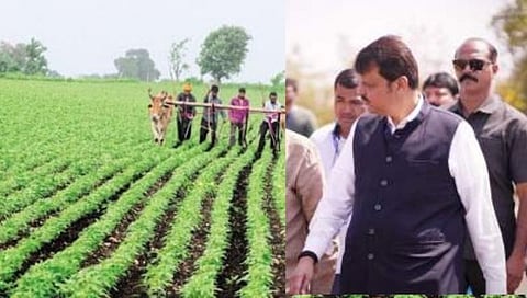 नागपूर : उपमुख्यमंत्री घेणार आज जिल्ह्याची खरीप आढावा बैठक