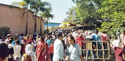 पुण्यातील राजीव गांधी प्राणिसंग्रहालय गजबजले