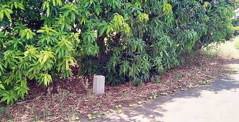 पारगाव : वाढत्या उष्णतेचा पिकांवर विपरीत परिणाम