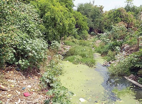 हडपसर : नाल्यांची साफसफाई पूर्ण होणार तरी कधी ?