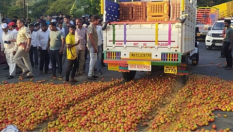 नाशिक : टोमॅटो रस्त्यावर फेकून शेतकऱ्यांकडून निषेध; कमी भावामुळे शेतकरी संतापले