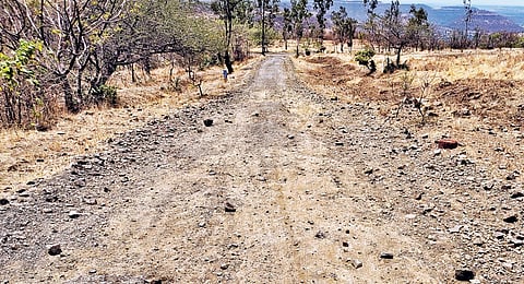 आंबेगाव तालुक्यातील सुपेवाडी ते वैदवाडी रस्त्याची दुरवस्था