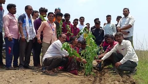 चंद्रपूर : साठगाव-रोहणा रस्त्यावरील खड्यात झाडे लावून केला निषेध