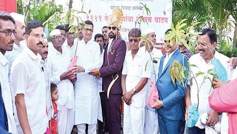 नांदूरशिंगोटे : विवाहसोहळ्यात गिते परिवाराच्या वतीने वर्हाडी मंडळींना केशरी आंब्याचे रोपटे वाटप करताना माजी महसूलमंत्री बाळासाहेब थोरात.