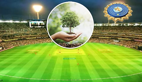 BCCI Plants 42000 Saplings : धोनीच्या सीएसकेची IPL फायनलमध्ये धडक, BCCI लावणार 42000 झाडे!