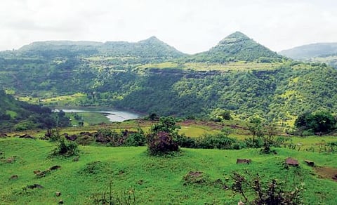 ‘देवदर्शनासह अभयारण्याचा भीमाशंकरमध्ये घ्या आनंद