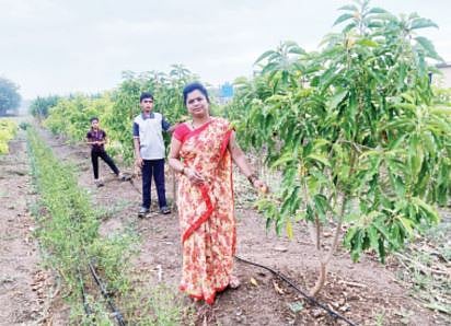 पुरंदर उपसा सिंचनच्या पाण्यावर पिकविला ’सोनचाफा’