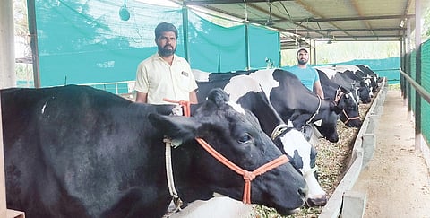 कुसेगावच्या शेतकर्याने दूध व्यवसायातून साधली प्रगती