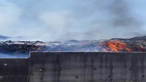 झूम प्रकल्प