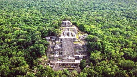 घनदाट जंगलात सापडली 3 हजार वर्षांपूर्वीची 417 शहरे!