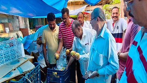 हापूस आंबा