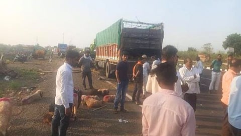 हिंगोली : दोन ट्रकच्या धडकेत ५ जण ठार, १५० मेंढ्या दगावल्या; चालकाला डुलकी लागल्याने अपघात