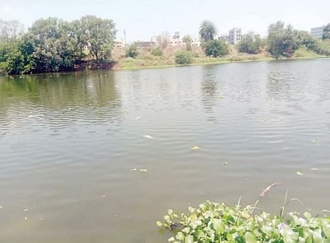 … इथे स्नान करायचे; हे पाणी तीर्थ म्हणून प्यायचे ? देहूत इंद्रायणी नदीत मृत माशांचा खच