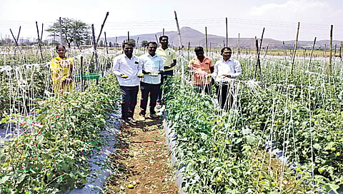 नाशिक : खरिपाच्या तोंडावर बळीराजासमोर समस्यांचा डोंगर