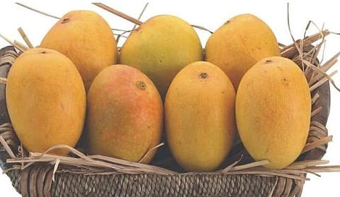 संग्रहित छायाचित्र.