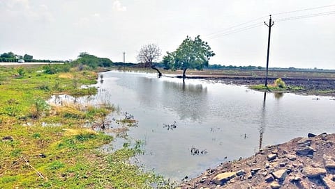 मंगळवेढा : ऐन उन्हाळ्यात हजारो लिटर पाणी वाया