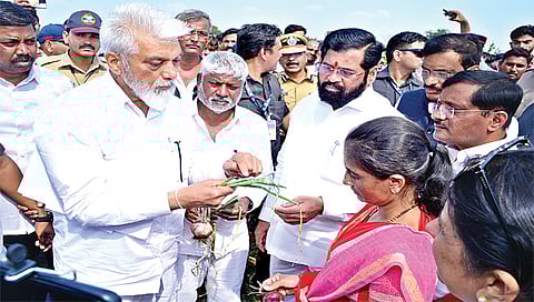 नाशिक : मुख्यमंत्र्यांच्या आश्वासनानंतरही शेतकरी मदतीपासून वंचित; नुकसानग्रस्तांच्या ‘तोंडाला पुसली पाने’