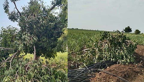 पावसाचे थैमान