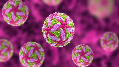 Powassan virus disease | आता आणखी एका आजाराने वाढवली चिंता! दुर्मिळ ‘पॉवासन’मुळे एकाचा मृत्यू, जाणून घ्या त्याची लक्षणे आणि उपाय